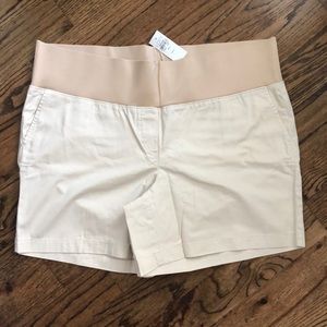 Ann Taylor Loft Maternity Cotton Twill Shorts